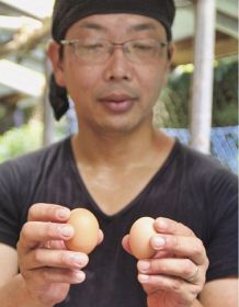 卵（右）も一般的な鶏の卵（左）より小さめ