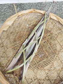手作りした竹串でウツボを開いた状態にし、乾燥させている