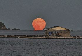太平洋から姿を現した「だるま満月」（２９日午後５時２０分、和歌山県那智勝浦町浦神で）
