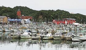 台風に備え、湾内に避難した漁船など（１１日、白浜町の古賀浦で）