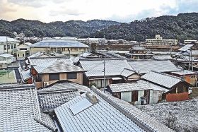 【動画】温暖な紀南地方の平野部で雪　開花した梅の畑にも、和歌山