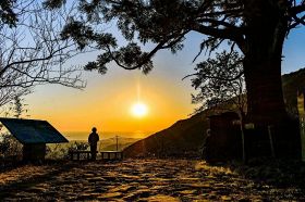熊野古道・潮見峠越の「捻木の杉」から夕日を望む（和歌山県田辺市で）