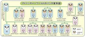 アドベンチャーワールドのパンダ家系図