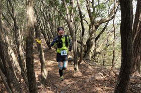 梅の里トレイルランで林間を走る選手（2019年2月）