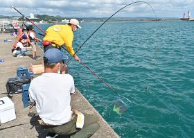 珍魚などを狙って岸壁で釣りをする参加者（１６日、和歌山県串本町串本で）