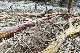 台風で大量の流木　和歌山県白浜の市江漁港付近
