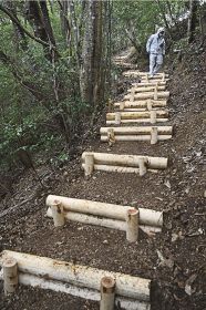 補修工事で丸太が交換された熊野古道の階段（和歌山県串本町田並で）