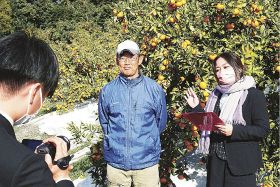 香港での木熟みかん販売ＰＲ用に、動画を撮影する農家やＪＡ紀南職員（和歌山県上富田町で）