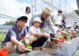 老人クラブのメンバーや熊野高校の生徒に手伝ってもらいながらヒョウタンの苗を植える岡小学校の児童（８日、和歌山県上富田町岡で）