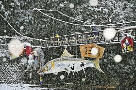 雪が降る中でつり下げられた張り子（１２日午前７時半、和歌山県田辺市本宮町川湯で）