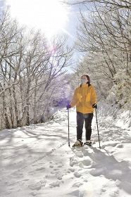 スノーシューを着けて雪の林道を歩く龍神観光協会職員（和歌山県田辺市龍神村龍神で）