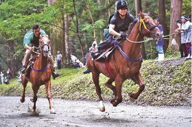 馬が勇壮に駆け抜ける須賀神社秋祭りでの「競べ馬」（２０１９年１０月）
