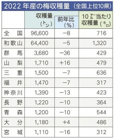 梅の収穫５８年連続全国一　和歌山県がシェア６７％
