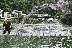 【動画】落ちアユ狙う｢せぎ漁｣始まる　せき造って網投げる､和歌山･田辺市の熊野川や支流で