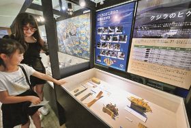 太地町立くじらの博物館と日本鯨類研究所の共催で開かれている企画展を見学する来館者（和歌山県太地町で）