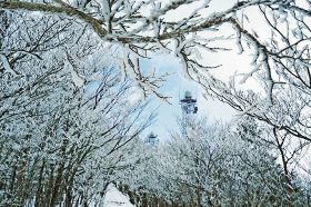 和歌山の最高峰に樹氷　田辺市の龍神岳は真冬