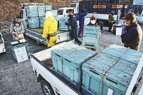農家の車にミツバチの巣箱を積み込む養蜂業者（２６日、和歌山県みなべ町山内で）