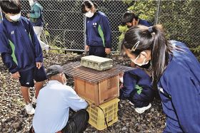 ニホンミツバチ増やそう　高城中生徒が巣箱作り