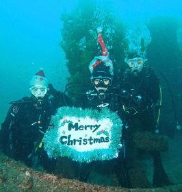 海中もクリスマスムード　和歌山・白浜沖の沈船にツリー