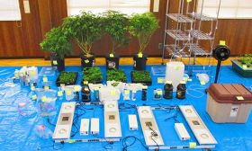 和歌山県警が昨年押収した大麻草や栽培器具