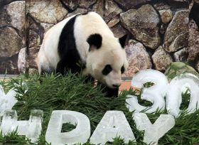 【動画】１６頭の父パンダ「永明」３０歳　誕生日に氷をプレゼント
