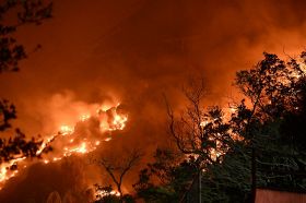 【動画】和歌山県すさみ町で大規模林野火災　町が災害対策本部