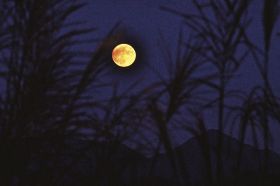 東の山並みから姿を現した中秋の名月（１日午後６時１分、和歌山県田辺市中辺路町で）