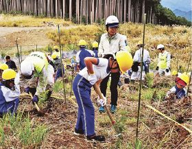 森林組合のスタッフらに手伝ってもらい、ヒノキの苗木を植える児童（７日、和歌山県田辺市中辺路町高原で）