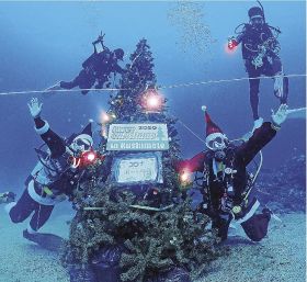 水深約１８メートルの海底に設置したクリスマスツリーと記念撮影する組合員（２６日、和歌山県串本町潮岬沖で）＝串本ダイビング事業組合提供