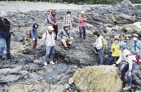 歩いて地質や植物観察／串本の荒船海岸で環境省