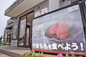 ヤマモモのジェラートはいかが　上富田町のカフェが提供