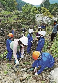 ウバメガシの苗を植える新庄小学校の児童ら（１９日、和歌山県田辺市中辺路町近露で）