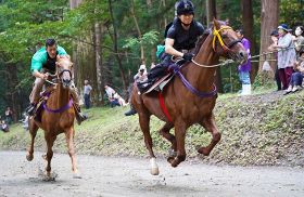 見物人が見守る中、２頭が馬場を駆け抜けた「競べ馬」（８日、和歌山県みなべ町西本庄で）