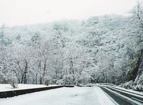 和歌山・紀南でも初冠雪　護摩壇山、今季一番の冷え込み