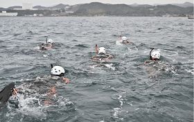 【動画】紀伊大島から１・８キロ泳ぐ　串本消防潜水隊が訓練