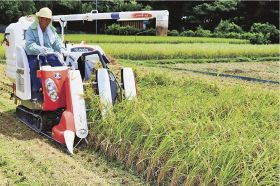 コンバインで稲を刈る日下恵夫さん（８日、和歌山県古座川町三尾川で）