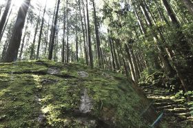 名所の一つである熊野古道「大雲取越」にある「円座石」（和歌山県新宮市で）