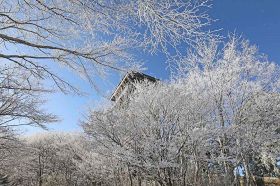 霧氷や積雪で真っ白になった護摩壇山の頂上付近（２９日午前８時半ごろ、和歌山県田辺市龍神村で）