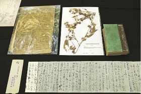 南方熊楠が牧野富太郎に送ったハチクの標本、牧野からの手紙など展示品の一部
