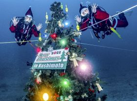 海底に設置されたクリスマスツリー（２９日、串本町沖で）＝串本ダイビング事業組合提供