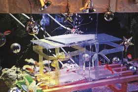 カラフルなエビ、カニ、魚が入ったクリスマス企画の水槽（和歌山県すさみ町江住で）