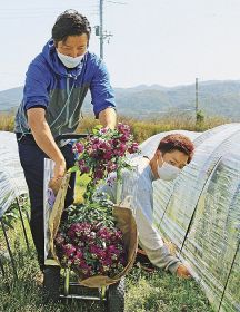 園主の遠藤賢嗣さん（左）と花の収穫体験をする青木一晟さん＝和歌山県白浜町で