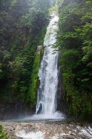 【動画】ドローン空中散歩　熊野の滝（２）宝竜滝（新宮市熊野川町滝本）／「昇り竜」の視点で