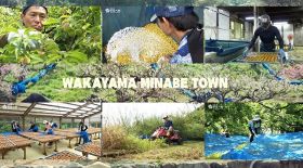 和歌山県みなべ町農業振興協議会が制作した梅ＰＲ動画の画面