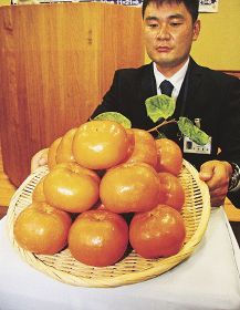 県かき・もも研究所が開発した柿の新品種「紀州あかね」（２６日、和歌山県庁で）