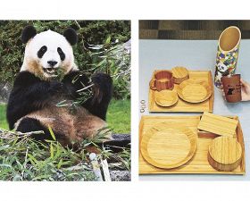 パンダの｢食べ残し｣が変身！　竹が食器や灯りに、南紀白浜アドベンチャーワールド　