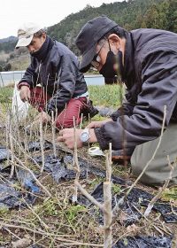 有機栽培学びたい／技術向上へ田辺で研修／北海道の農園関係者