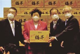 梅振興議員連盟の大島理森会長（左）と二階俊博幹事長（右から２人目）が、日本医師会の横倉義武会長（右）と日本看護連盟の大島敏子会長（左から２人目）に梅干しを贈る＝３日、東京都で