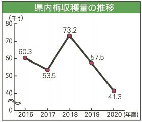 和歌山県内梅収穫量の推移