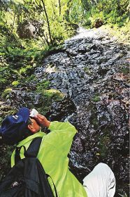 ふるさとの滝を独自調査　古座川の山本さん、目標は１５０